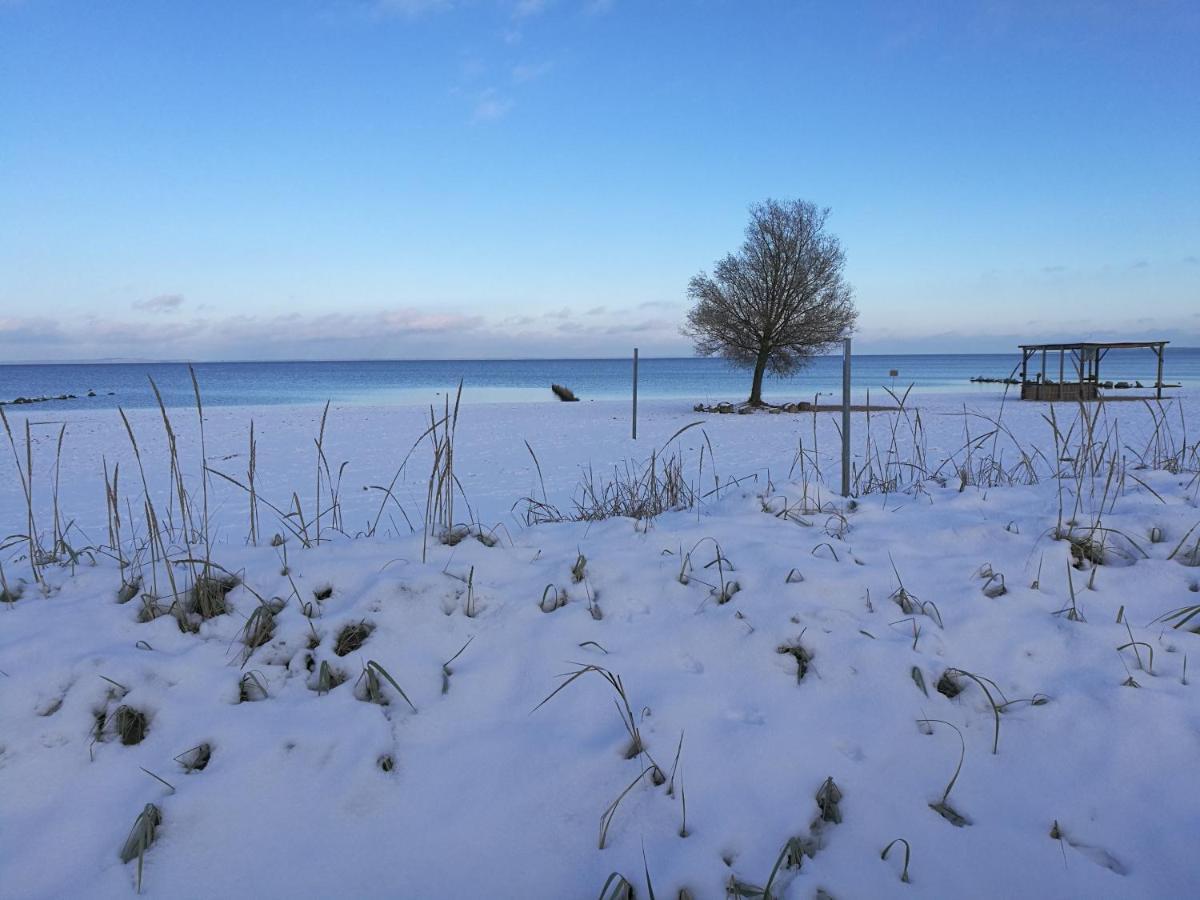Fewo "Hafenblick" Ueckermünde Exteriér fotografie