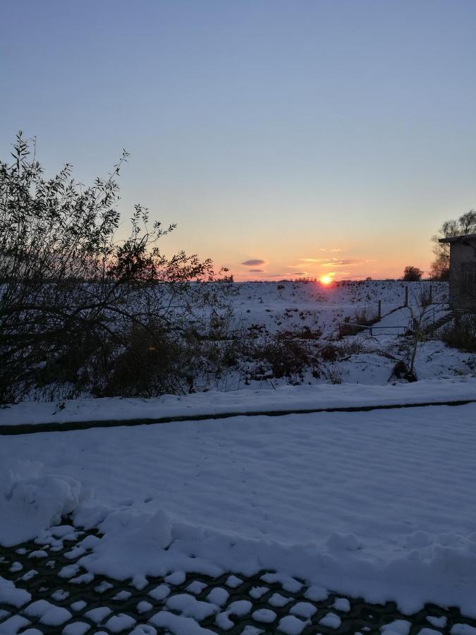 Fewo "Hafenblick" Ueckermünde Exteriér fotografie