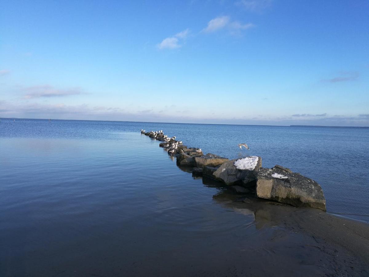 Fewo "Hafenblick" Ueckermünde Exteriér fotografie